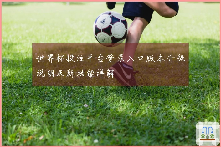 世界杯投注平台登录入口版本升级说明及新功能详解