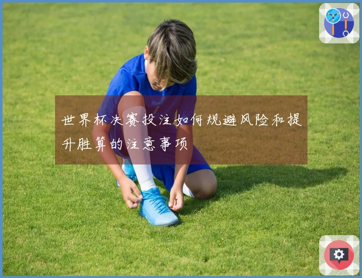 世界杯决赛投注如何规避风险和提升胜算的注意事项