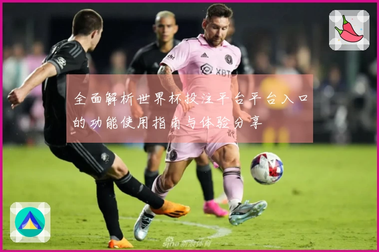 全面解析世界杯投注平台平台入口的功能使用指南与体验分享