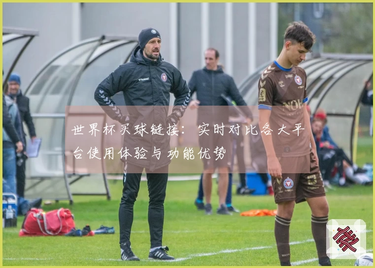 世界杯买球链接：实时对比各大平台使用体验与功能优势