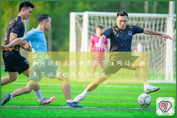 如何识别正规世界杯下注网站，避免不必要的风险和损失