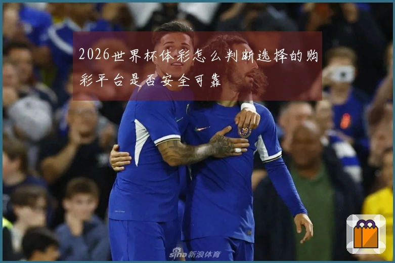 2026世界杯体彩怎么判断选择的购彩平台是否安全可靠