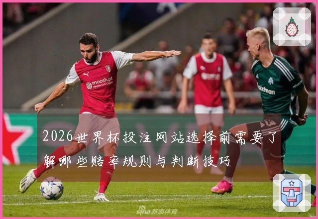 2026世界杯投注网站选择前需要了解哪些赔率规则与判断技巧
