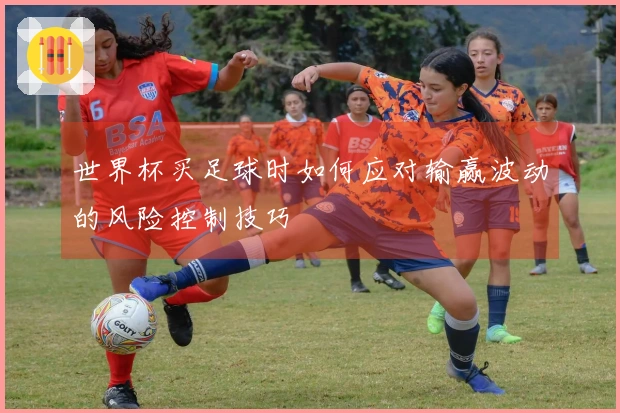 世界杯买足球时如何应对输赢波动的风险控制技巧