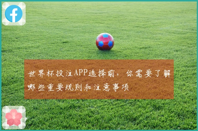世界杯投注APP选择前，你需要了解哪些重要规则和注意事项