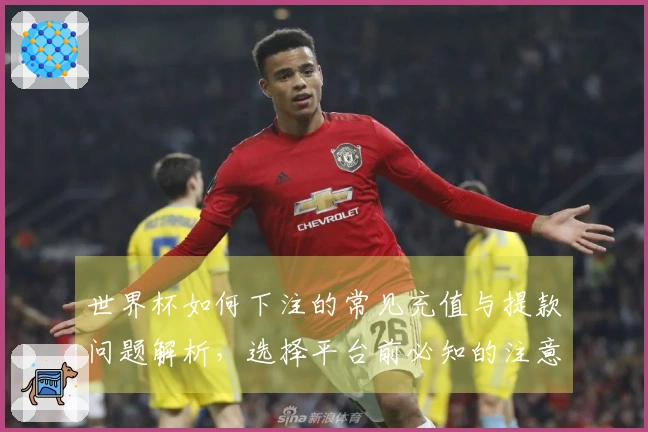 世界杯如何下注的常见充值与提款问题解析，选择平台前必知的注意事项