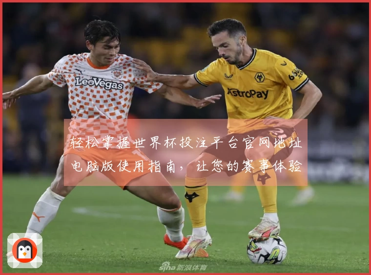 轻松掌握世界杯投注平台官网地址电脑版使用指南，让您的赛事体验更上一层楼