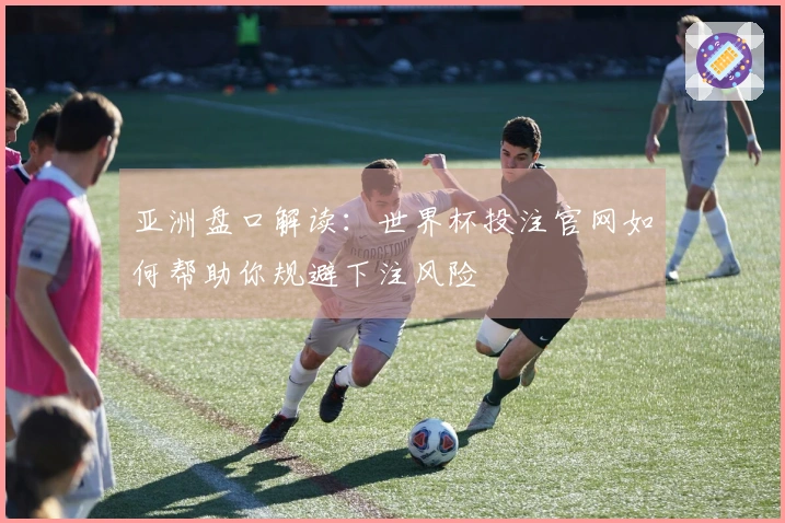 亚洲盘口解读：世界杯投注官网如何帮助你规避下注风险