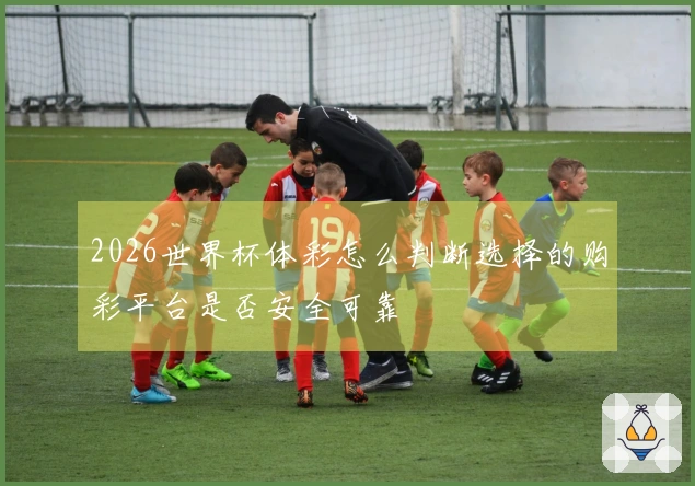 2026世界杯体彩怎么判断选择的购彩平台是否安全可靠