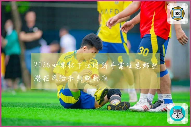 2026世界杯下注时新手需注意哪些潜在风险和判断标准