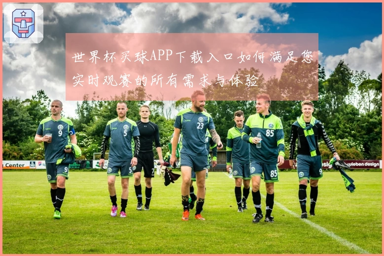 世界杯买球APP下载入口如何满足您实时观赛的所有需求与体验