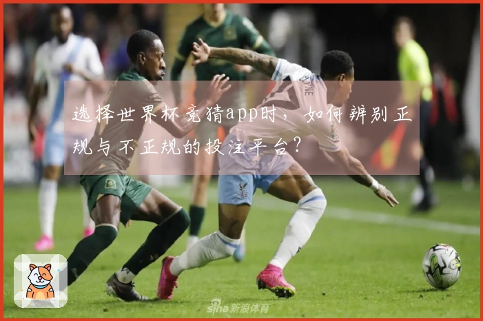 选择世界杯竞猜app时，如何辨别正规与不正规的投注平台？
