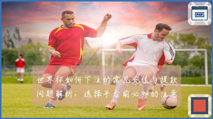 世界杯如何下注的常见充值与提款问题解析，选择平台前必知的注意事项
