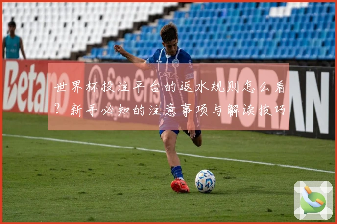 世界杯投注平台的返水规则怎么看？新手必知的注意事项与解读技巧