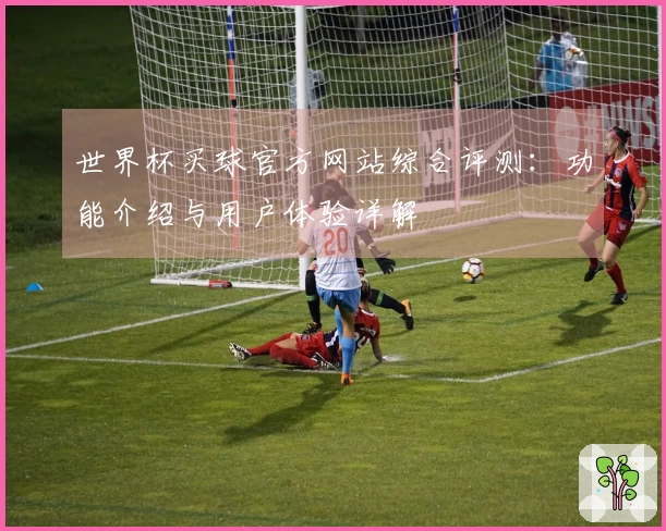 世界杯买球官方网站综合评测:功能介绍与用户体验详解