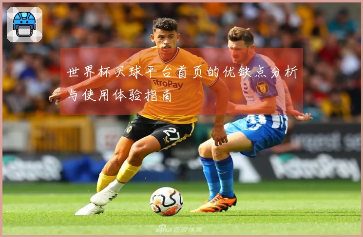 世界杯买球平台首页的优缺点分析与使用体验指南