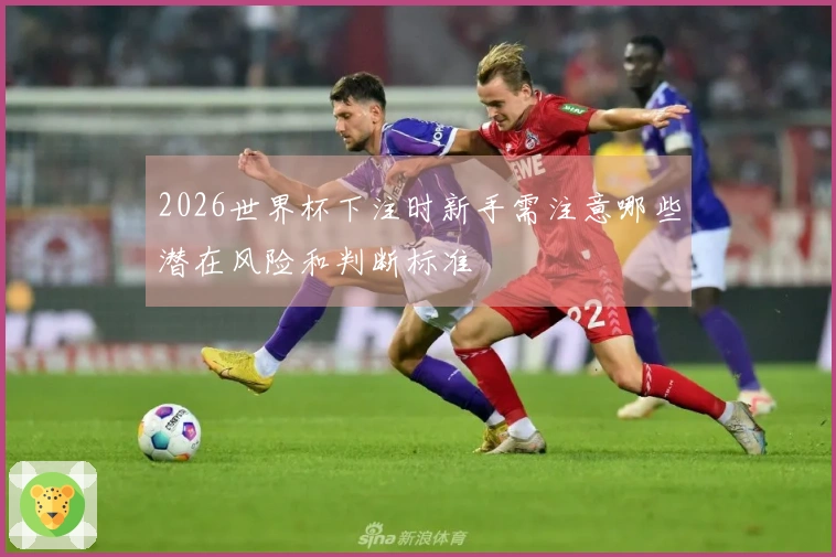 2026世界杯下注时新手需注意哪些潜在风险和判断标准