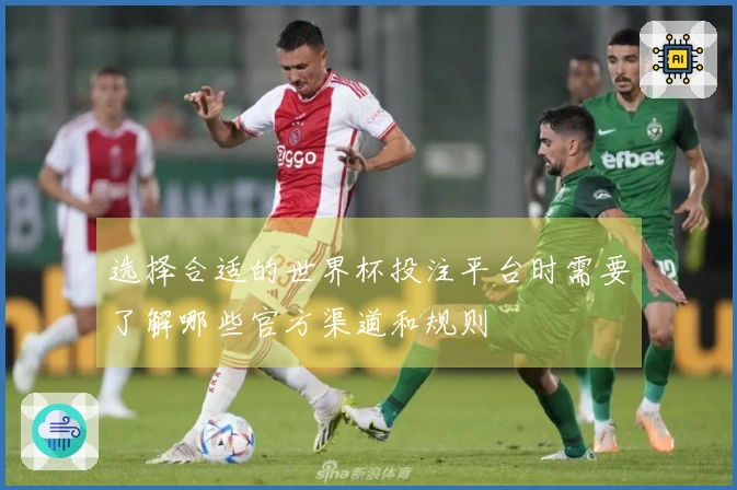 选择合适的世界杯投注平台时需要了解哪些官方渠道和规则