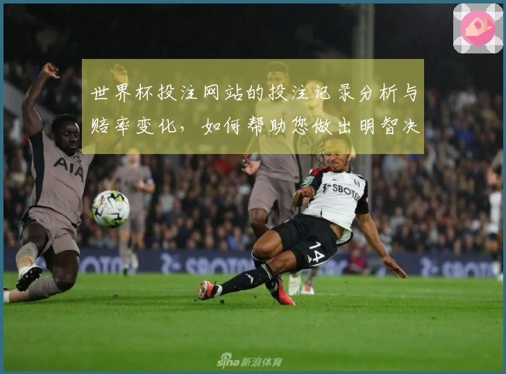 世界杯投注网站的投注记录分析与赔率变化，如何帮助您做出明智决策？