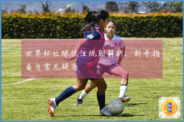 世界杯让球投注规则解析：新手指南与常见疑惑