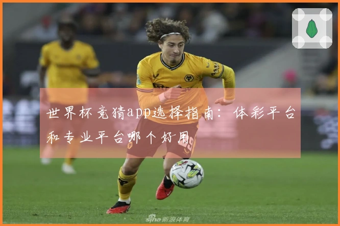 世界杯竞猜app选择指南：体彩平台和专业平台哪个好用